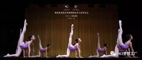 中国舞独舞成人考试视频,中国舞独舞成人考试精彩瞬间回顾