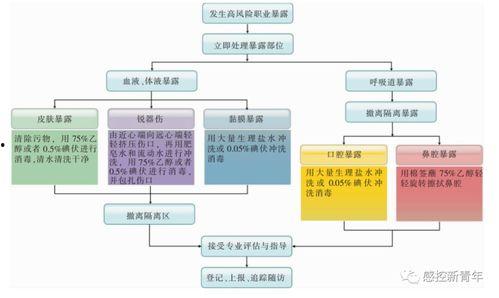 成人衣服处理流程视频大全,从清洗到收纳的实用指南