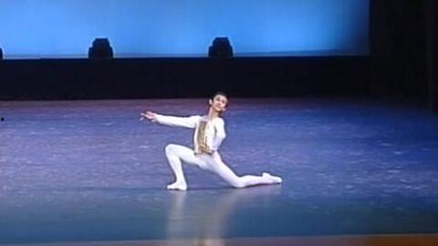 芭蕾变奏成人独舞教学视频