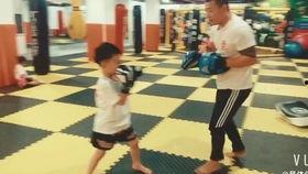 成人散打搏击视频大全,成人散打搏击技巧与实战策略