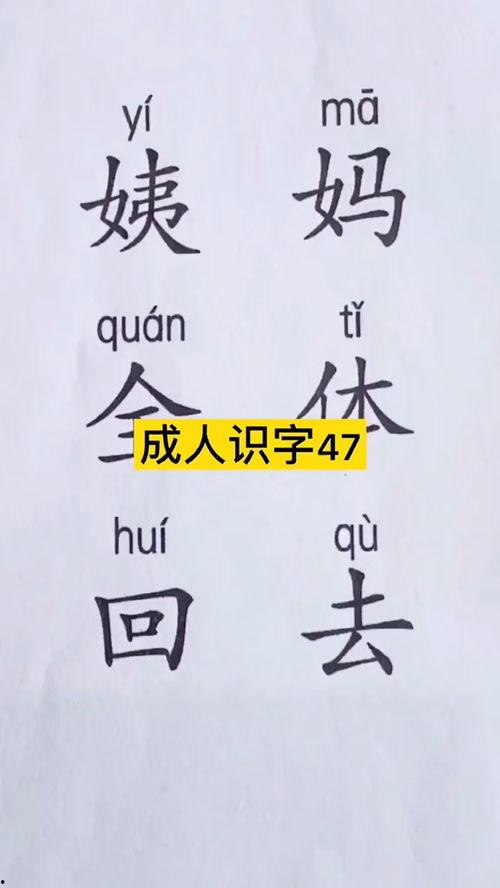 成人识字写字视频,成人识字写字视频教程概览