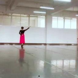 成人鸿雁舞蹈教学视频,优雅舞步，翱翔天际