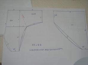 成人内裤裁剪教程视频,轻松掌握成人内裤裁剪技巧