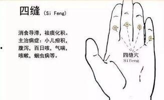 成人脾胃手法按摩视频,轻松掌握成人养生保健秘诀