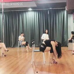 舞蹈视频初学成人舞教学